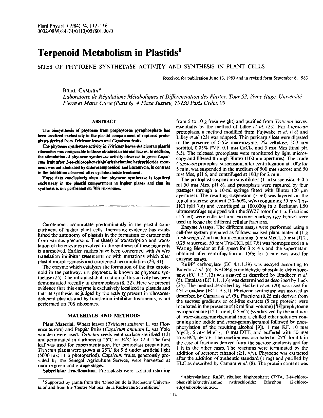 the main enzyme responsible for synthesizing rna in transcription is